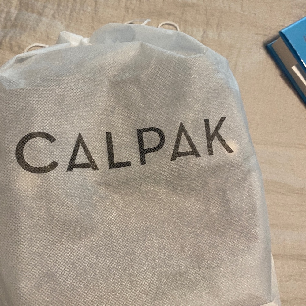 Calpak sunglass travel case